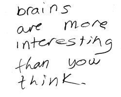 brains are more interesting than you think